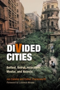 Cover of Divided Cities