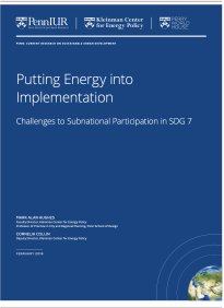 Putting Energy into Implementation: Challenges to Subnational Participation in SDG 7 -- title page