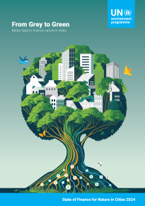 State of Finance for Nature in Cities 2024 UNEP report: From Grey to Green: Better data to finance nature in cities