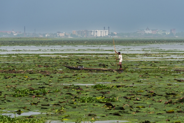 View of wetland. Photo credit: Amitava Chandra