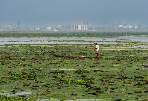 View of wetland. Photo credit: Amitava Chandra