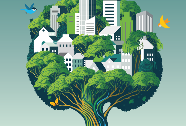 State of Finance for Nature in Cities 2024 UNEP report: From Grey to Green: Better data to finance nature in cities