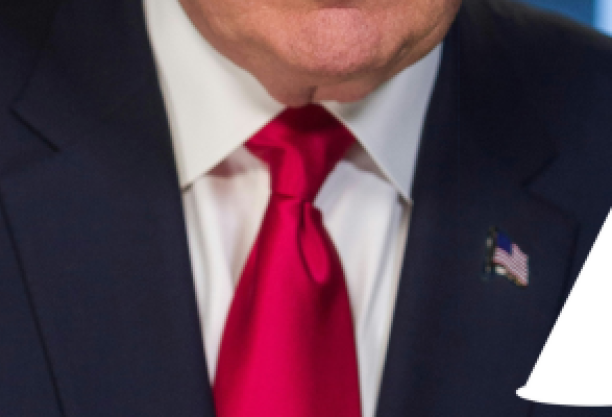 special briefing trump tie