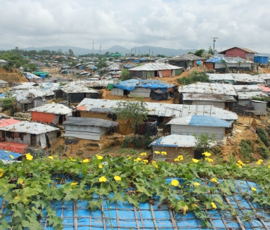 View of informal housing